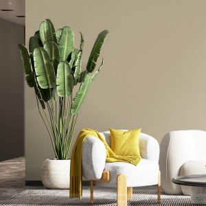 Giấy Dán Tường Phòng Khách Hàn Quốc 8619-5