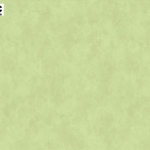 Giấy Dán Tường Hàn Quốc Phòng Ngủ 9219-1